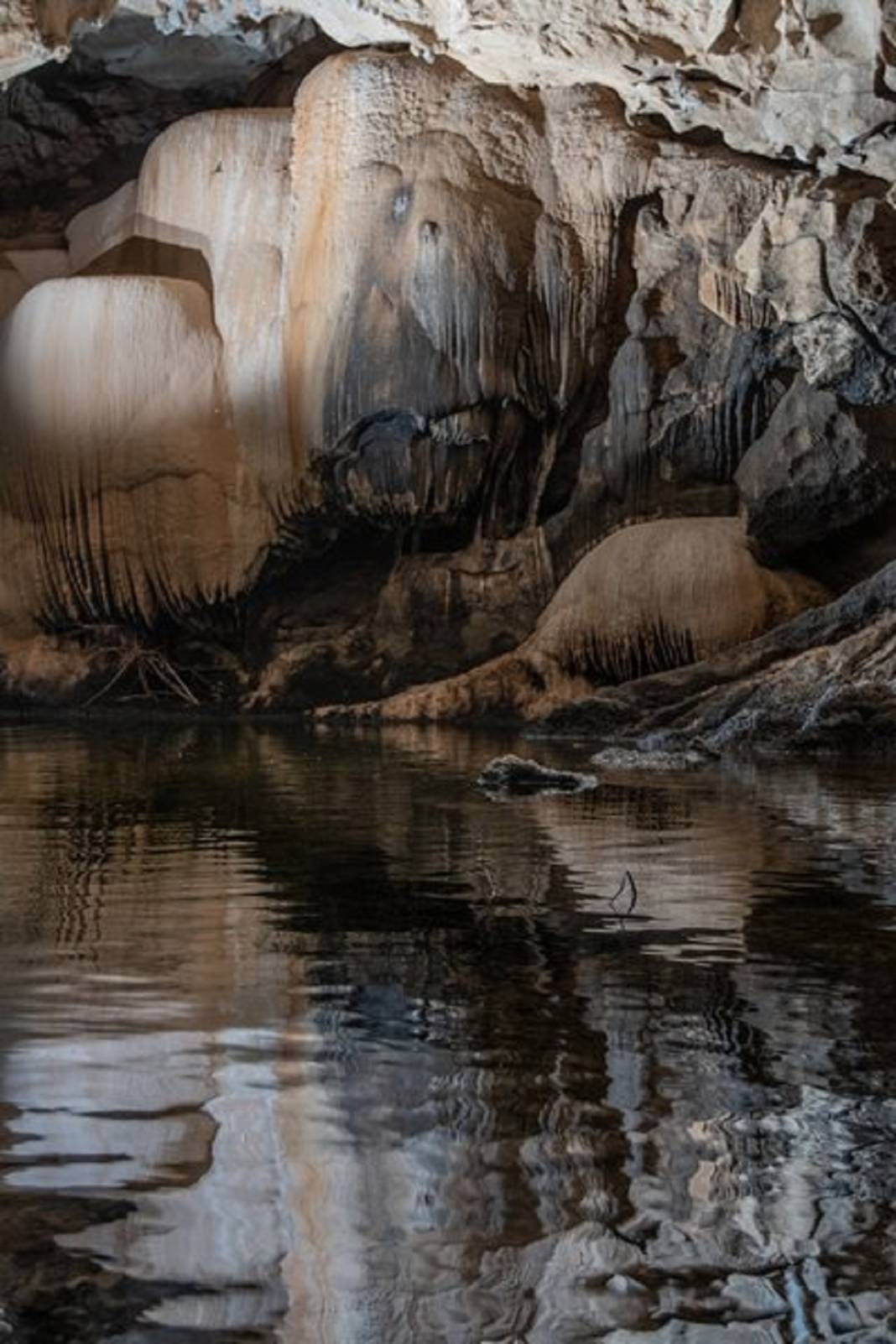 Konya'da heyecan arayanlar soluğu burada alıyor: Hassas hayvan türlerininde yuvası 5
